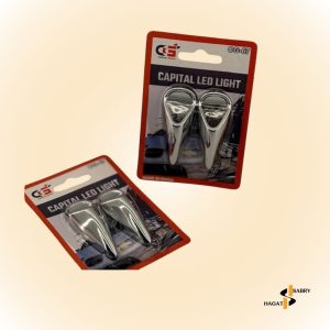 حليه بزبوز مياه مسلوب